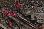 落椿 – Dropped Camellia Flower
