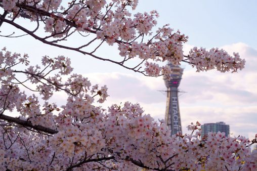 春の通天閣 – Tsutenkaku in Spring