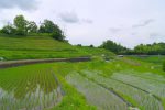 下赤坂の棚田 –  Terraced rice-fields