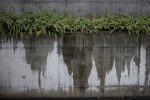 うちっぱなし – Wet concrete
