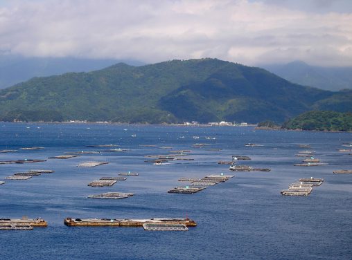 遊子水荷浦の漁村 – Fishery of Yusu Mizugaura