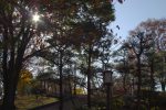 天保山公園と観覧車 – Tenpozan Park