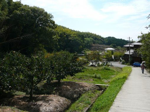山辺の道(3枚) – Ancient road of Yamanobe (3 pics)
