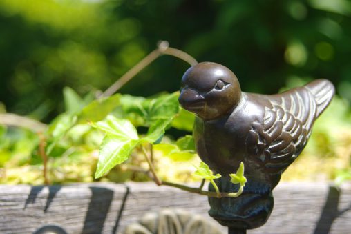 鋼の小鳥 – Iron bird