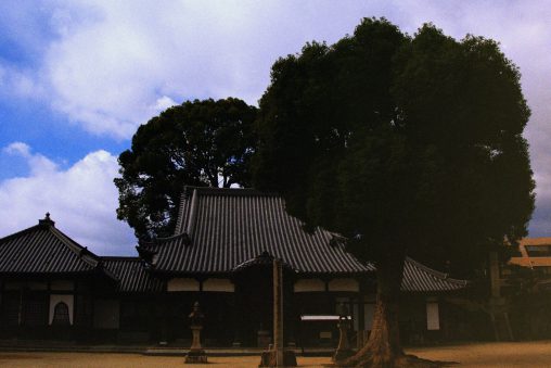八尾地蔵尊・常光寺 – Jo-ko-ji temple