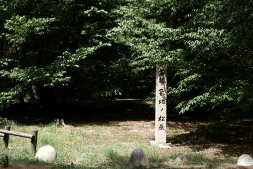 気比の松原 – Kehi no Matsubara(Pine groves)